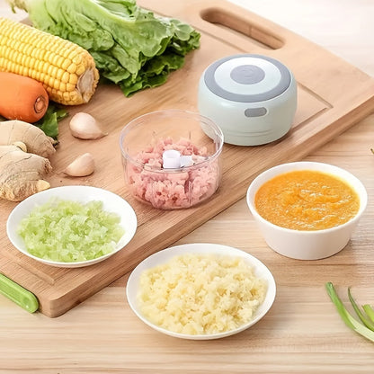 Compact Electric Garlic & Vegetable Chopper